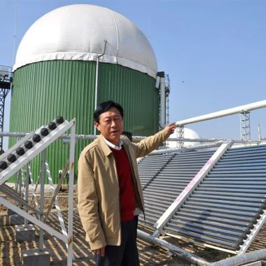 消化膜上の二重膜バイオガス貯蔵タンク